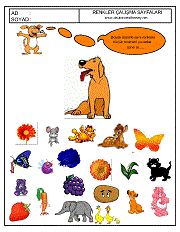 okul öncesi renkler çalışma sayfaları; verilen resimle aynı renkte olan resimleri işaretle